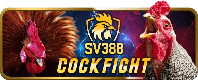 Cá cược Thể Thao 333win3 win