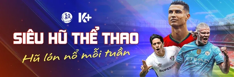 Bước 2: Cài đặt hồ sơ cấu hình 333win3 win